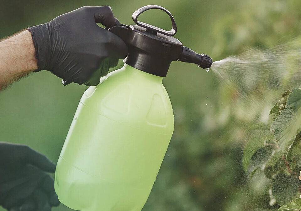 pest control hamilton